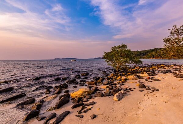 Discovery Island