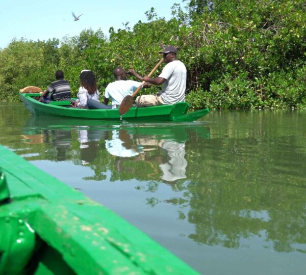 Discovery Island