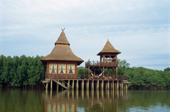 Your Stay in our Gambian Island